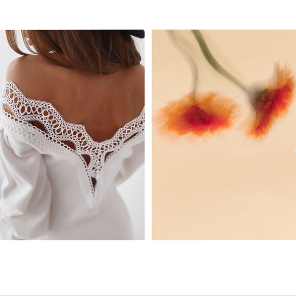 Lace Trim Backless Lantern Sleeve Ribbed Sweater Dress - Picture 3 of 3